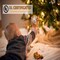25 ft 50-Count Warm White LED Christmas Lights – Commercial Grade Outdoor Waterproof, Green Wire, UL Listed, Xmas Tree & Holiday Decoration Lights (Warm White)